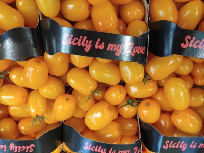 Foto Pomodoro Datterino Giallo Origine Italia Marchio Giugno e Co. 2